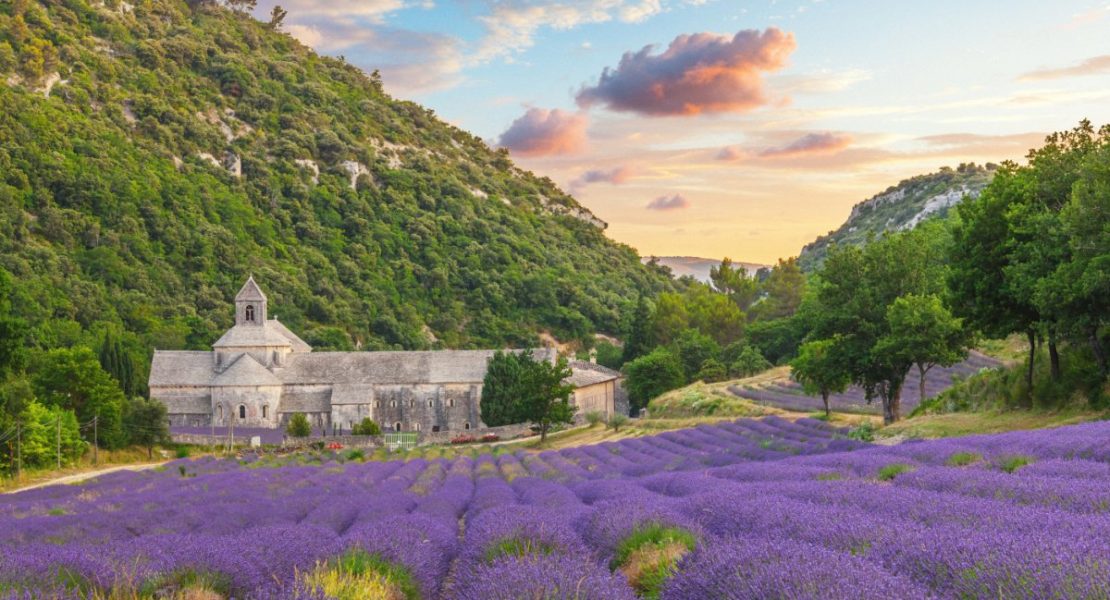 Senanque kloster omgitt av blomstrende lavendel i Provence, Frankrike.