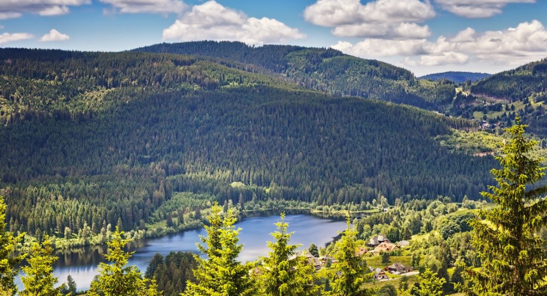 Schluchsee-innsjøen omkranset av Schwarzwalds mørke skoger.