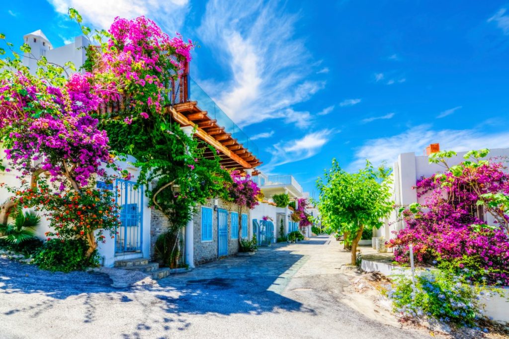 Smale, blomsterdekkede gater slynger seg gjennom hvite Bodrum.